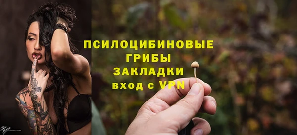ГАЛЛЮЦИНОГЕННЫЕ ГРИБЫ Верея