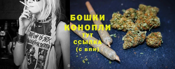 ГАЛЛЮЦИНОГЕННЫЕ ГРИБЫ Верея