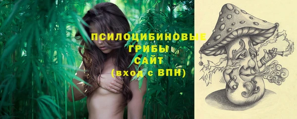 бошки Верхний Тагил